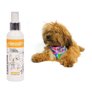 Unleash Dog perfume