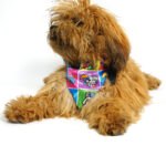 Unleash cartoon dog bandana