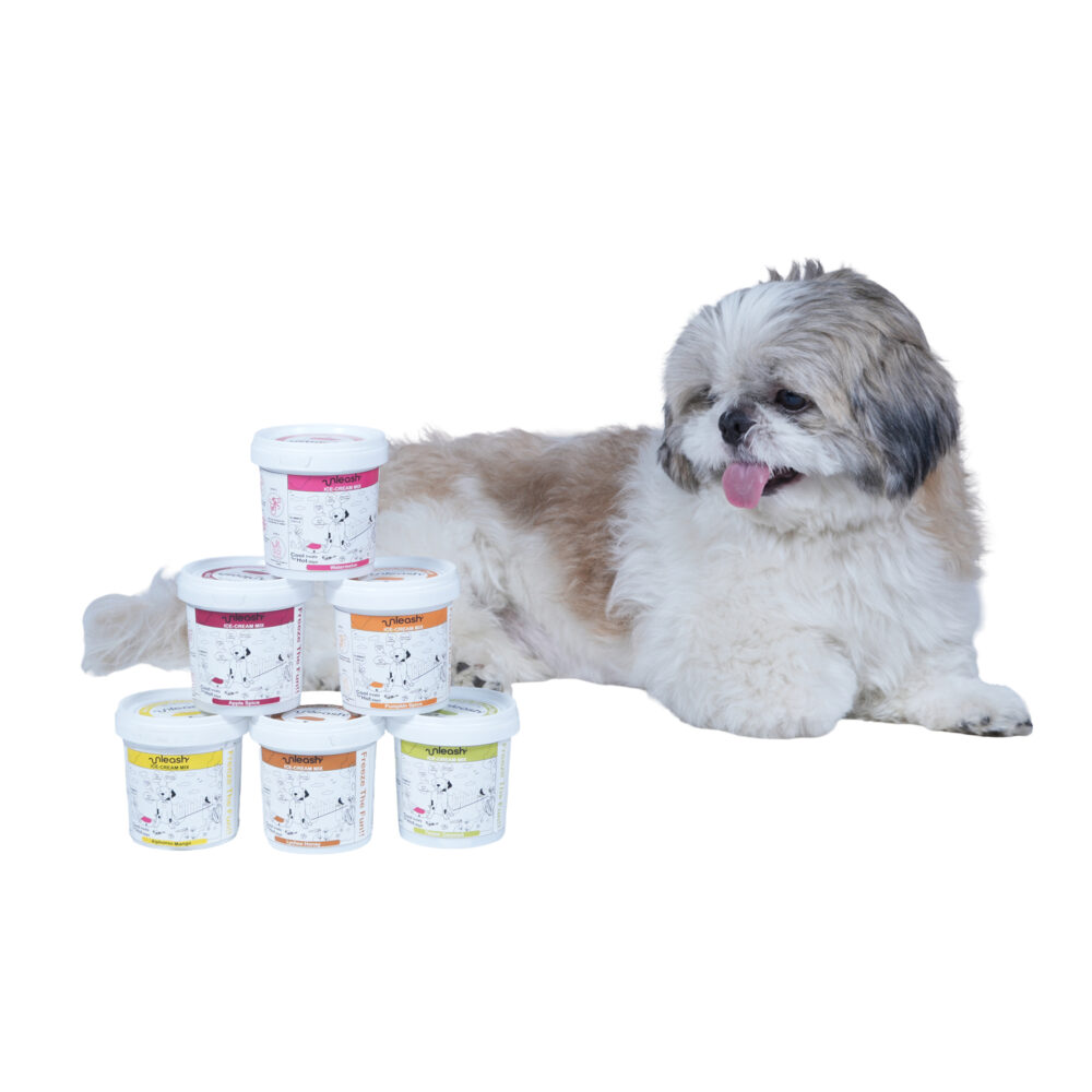 unleash dog ice cream